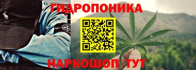 сатива Волжский