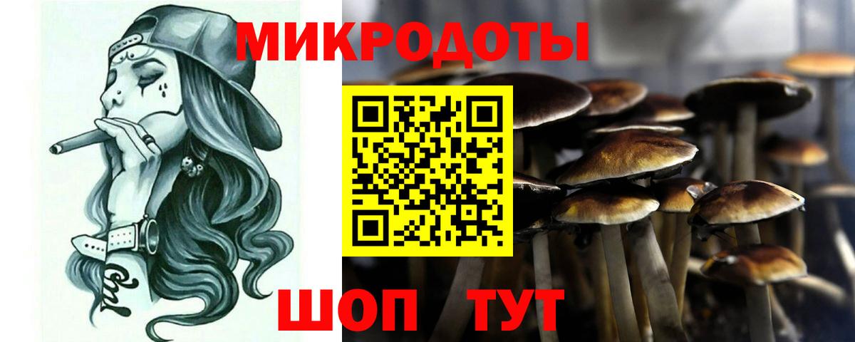 Псилоцибиновые грибы Cubensis Мичуринск