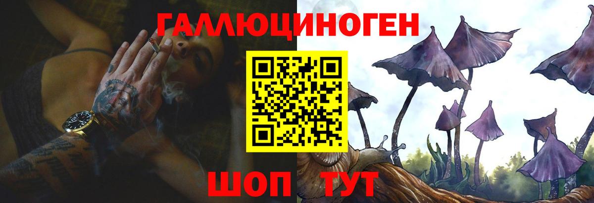 где найти   Вход с VPN  Псилоцибиновые грибы Psilocybe  Мичуринск  Псилоцибиновые грибы MAGIC MUSHROOMS 
